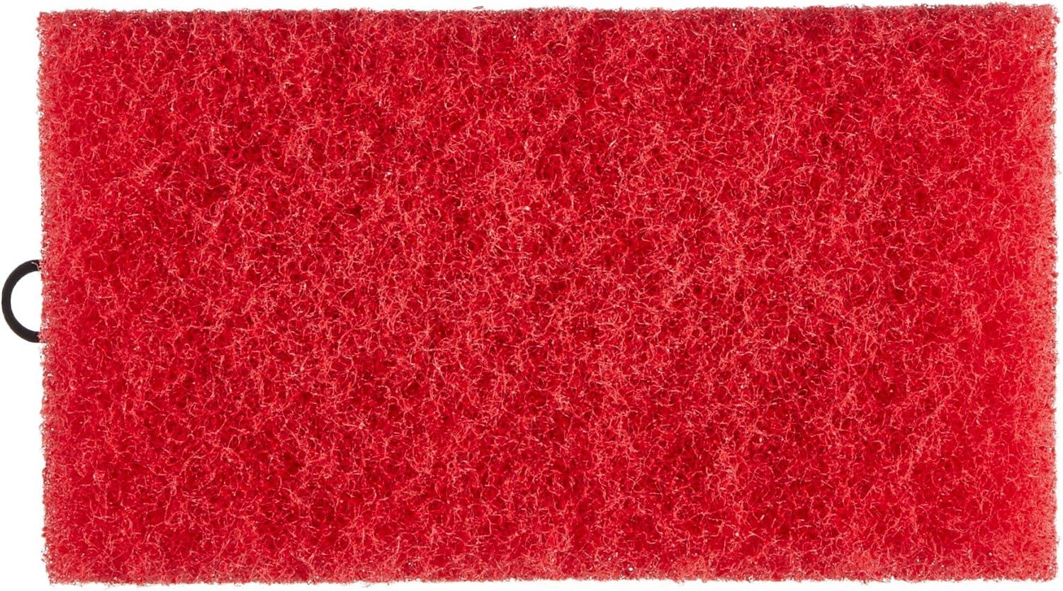 image:imageSTAR BRITE Premium Golden Teak Oil 16 Oz Sealer Preserver amp Finish for Outdoor Teak amp Other Fine Woods 085116PW128 Oz Gallon